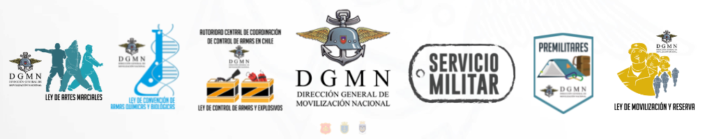 (c) Dgmn.cl